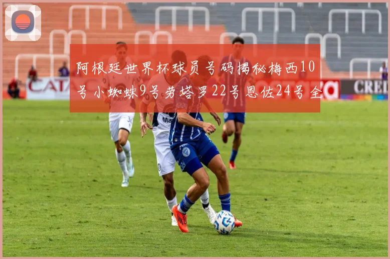 阿根廷世界杯球员号码揭秘梅西10号小蜘蛛9号劳塔罗22号恩佐24号全解析