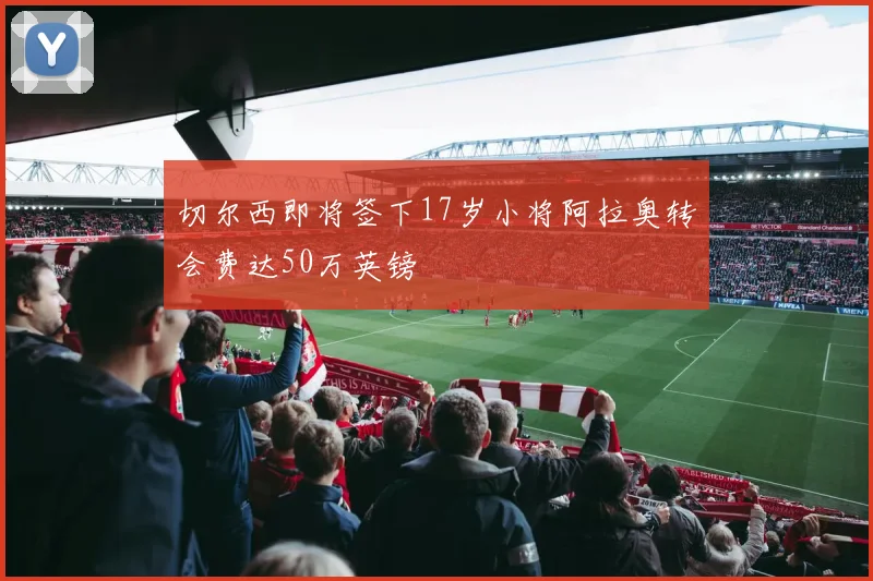 切尔西即将签下17岁小将阿拉奥转会费达50万英镑
